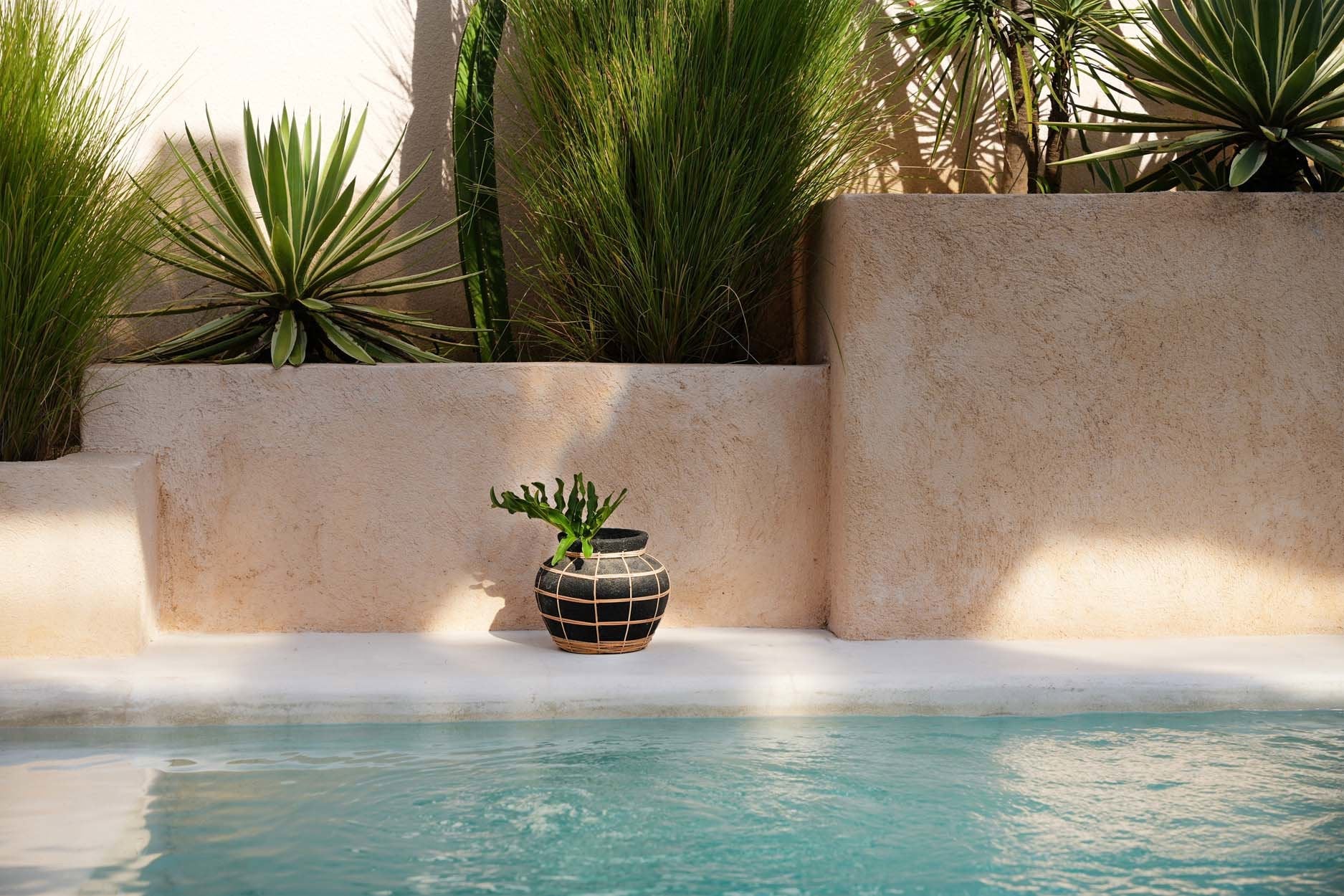 BB - Vaas Belly - Zwart Natuurlook - S