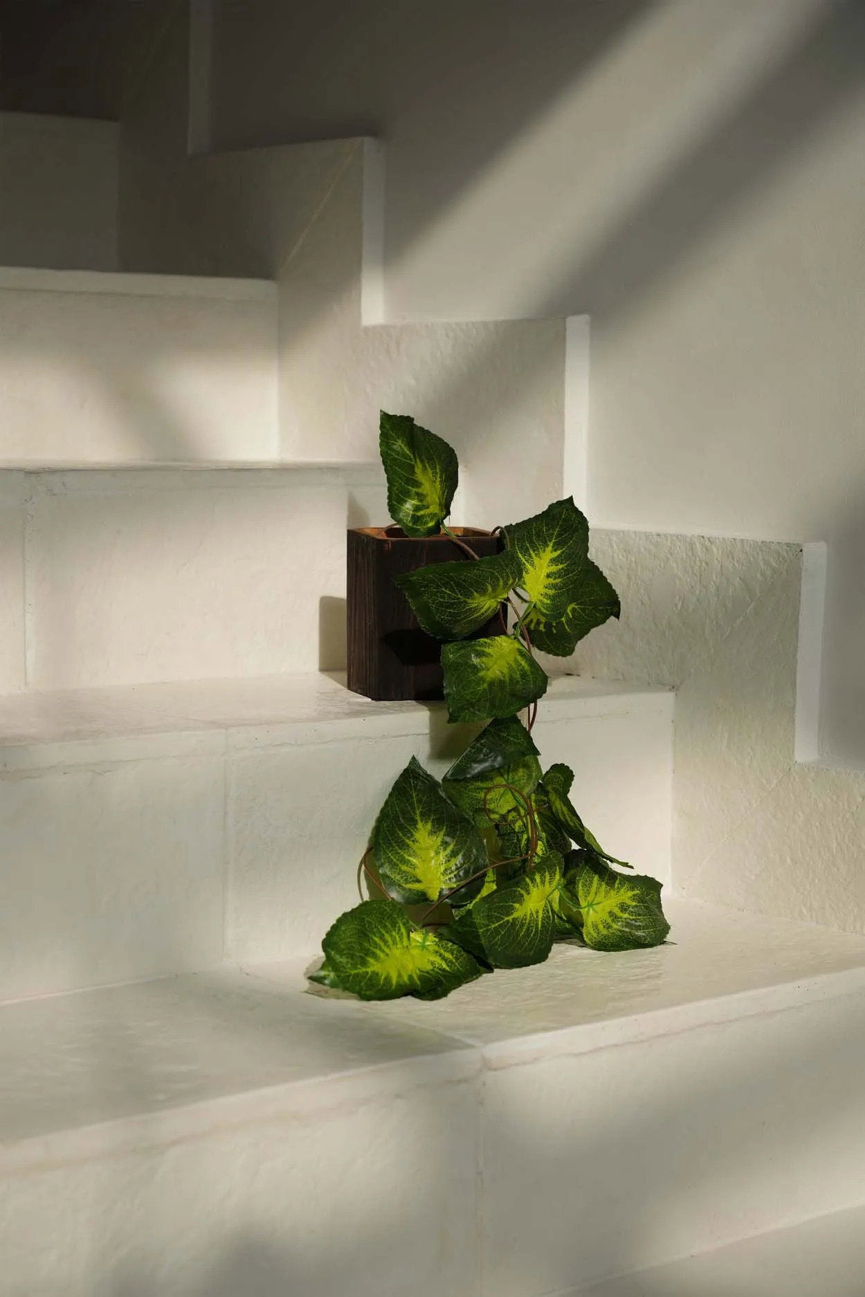 BB - Vaas Bondi - Vierkant