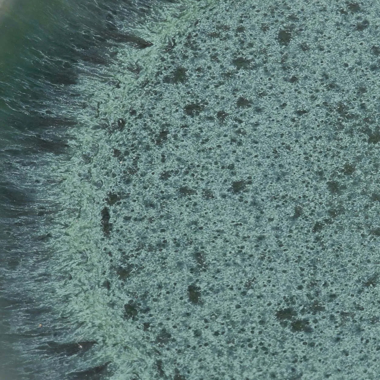 BB - Saldekom Aqua  - Set van 6