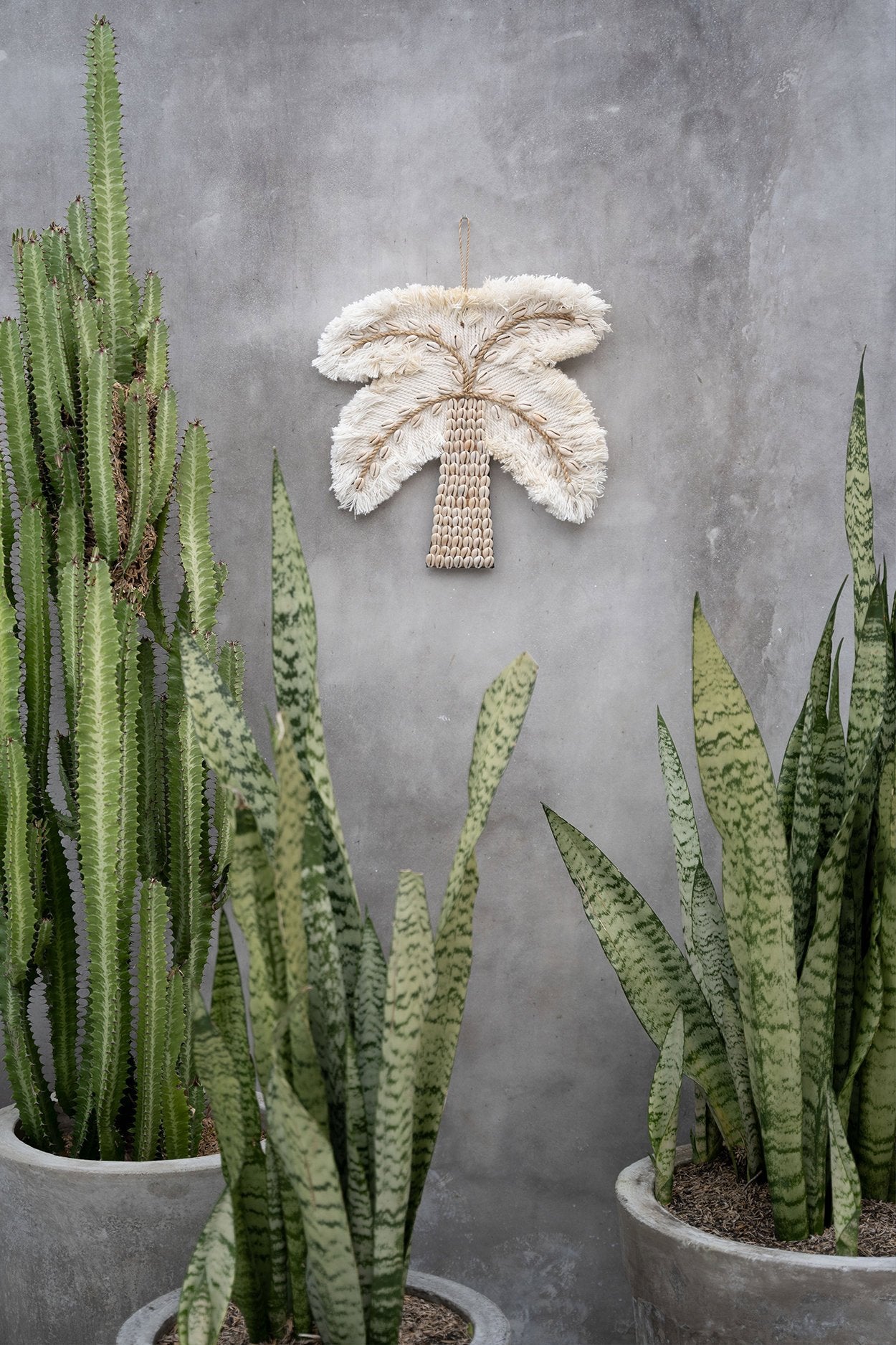 BB - Decoratieve Katoenen Schelp Palmboom - Wit Natuurlook