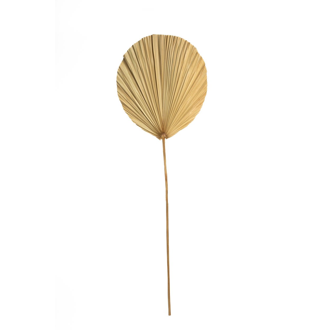 BB - Decoratie Rayung-blad - Natuurlook