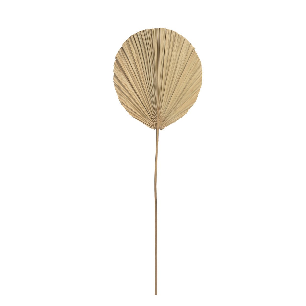 BB - Decoratie Rayung-blad - Natuurlook