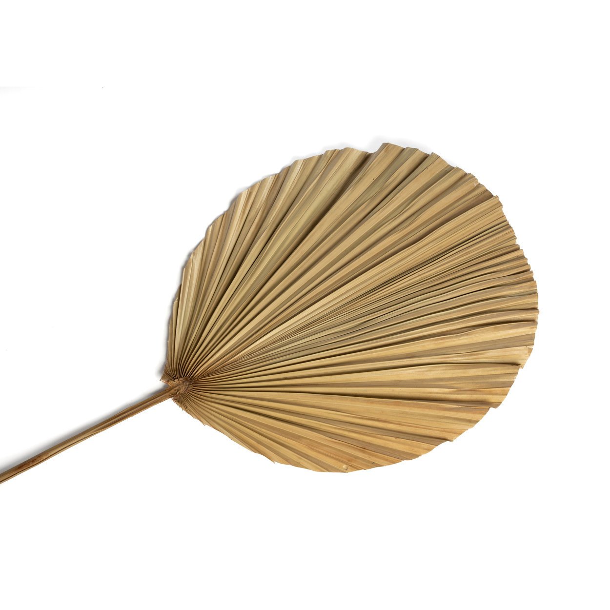 BB - Decoratie Rayung-blad - Natuurlook
