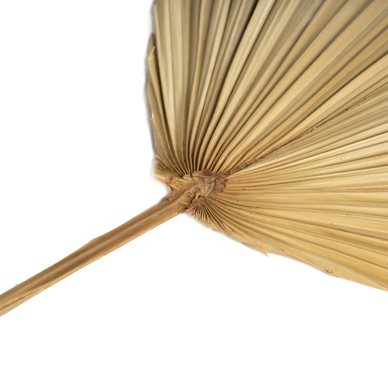 BB - Decoratie Rayung-blad - Natuurlook