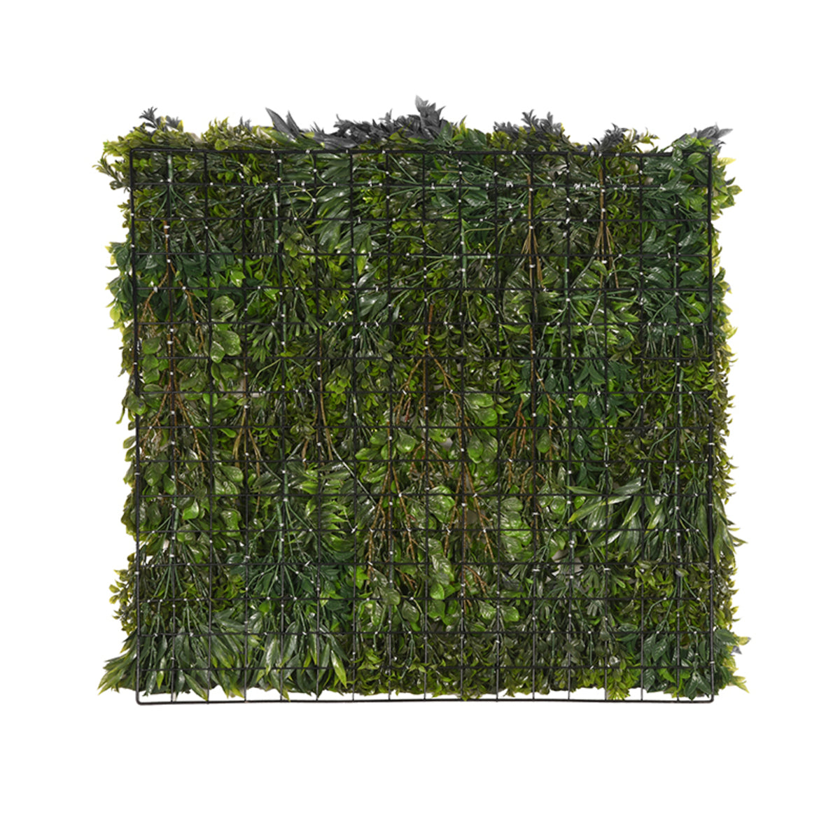 Label51 - Décoration murale panneau - Plastique - Vert