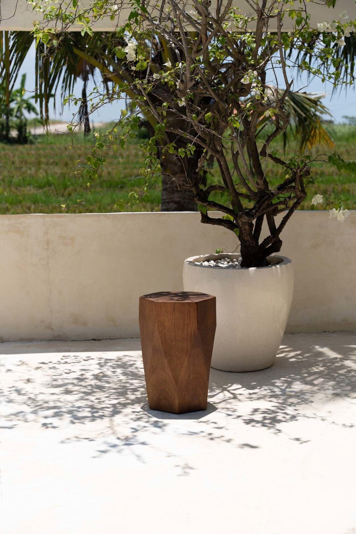 BB - Kruk Adira - Natuurlook