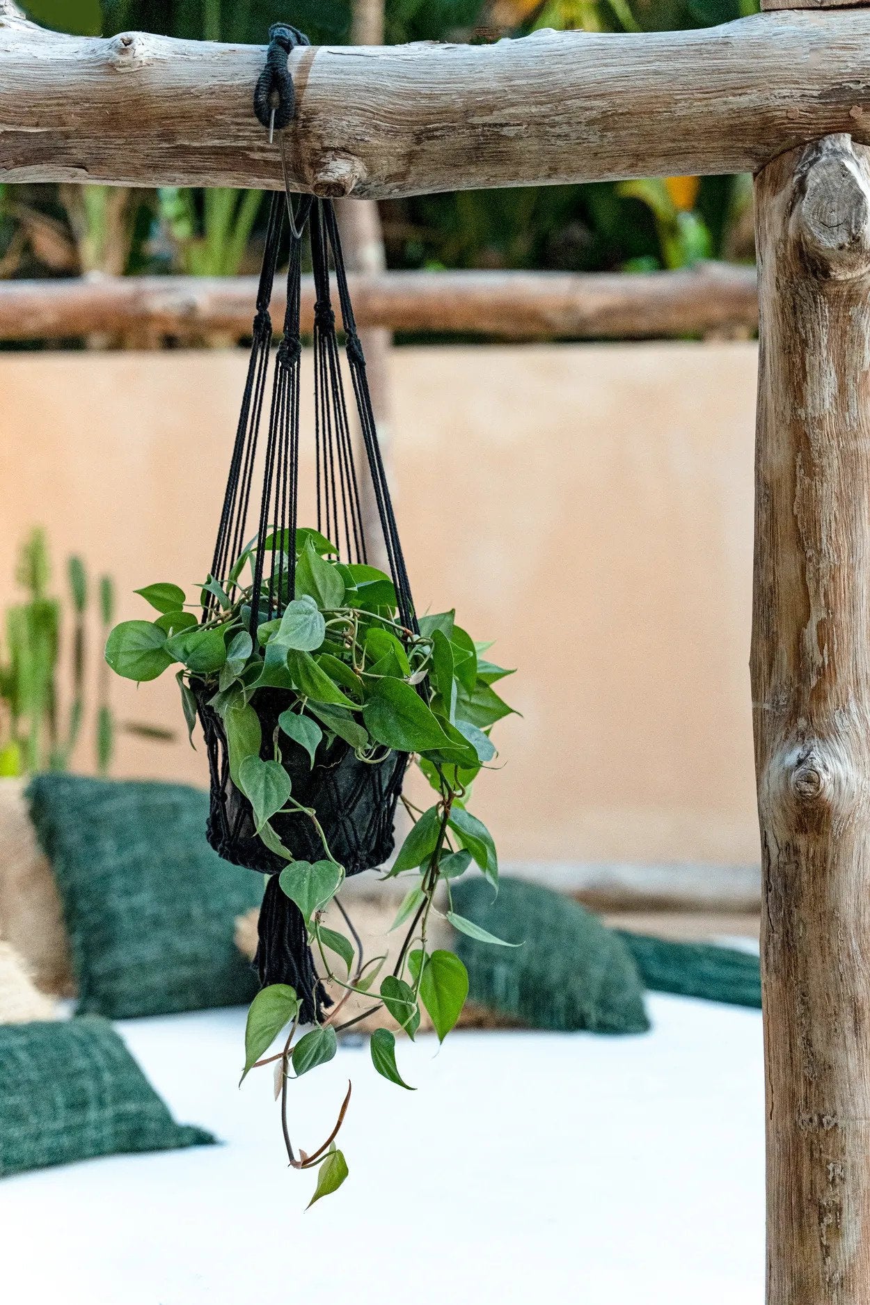 BB - Plantenhouder Macramé - Zwart - S_40