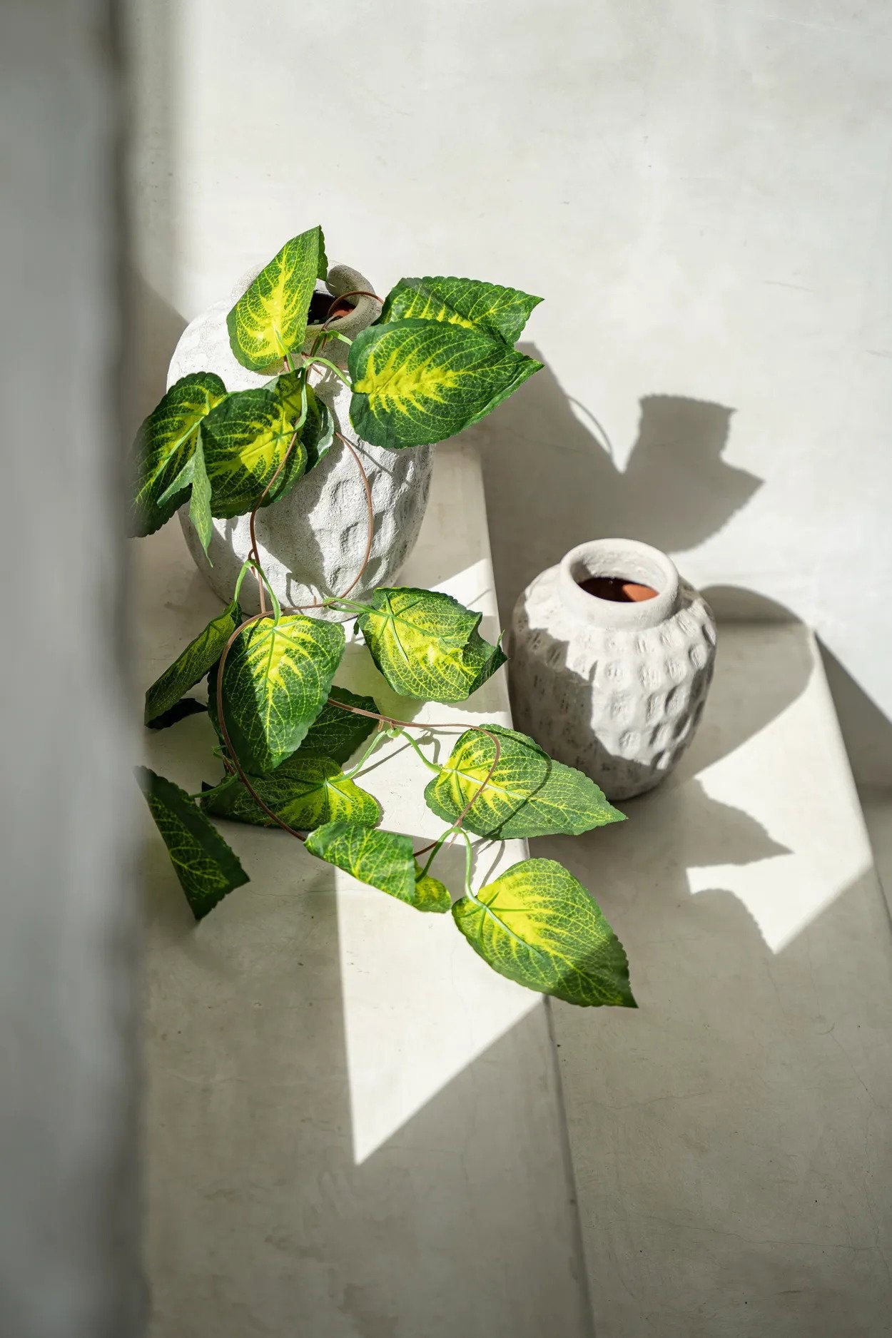 BB - Vaas Trendy - Beton - M