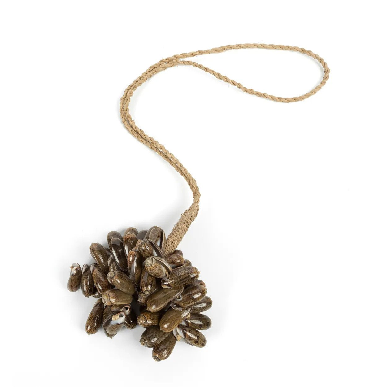 BB - Decoratie bruine kauri schelp kwast