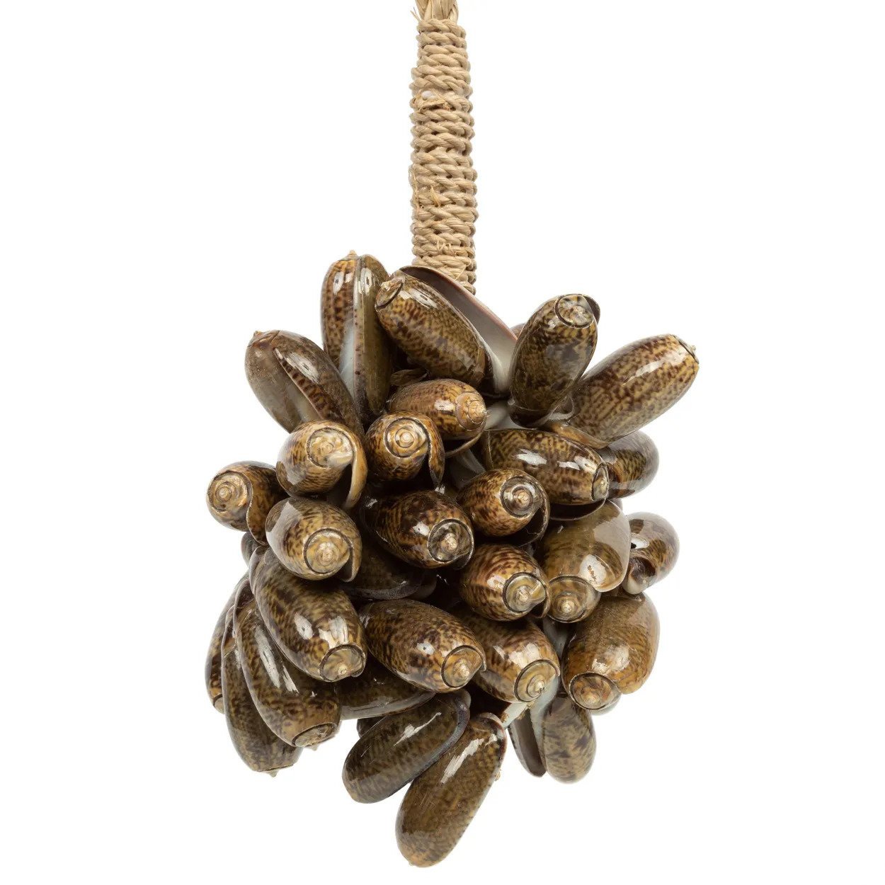 BB - Decoratie bruine kauri schelp kwast