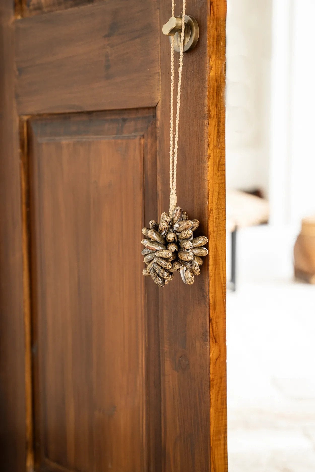 BB - Decoratie bruine kauri schelp kwast