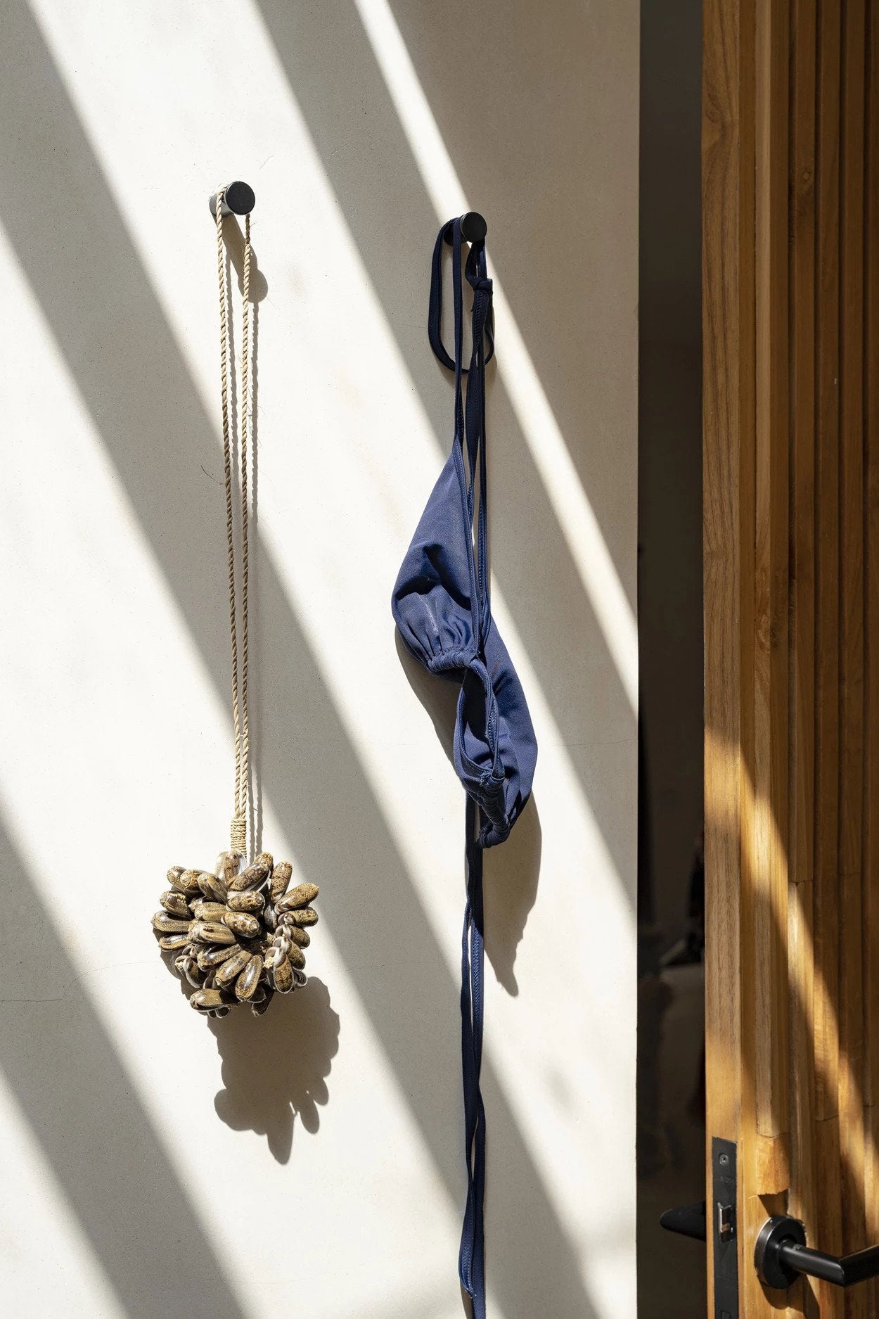 BB - Decoratie bruine kauri schelp kwast