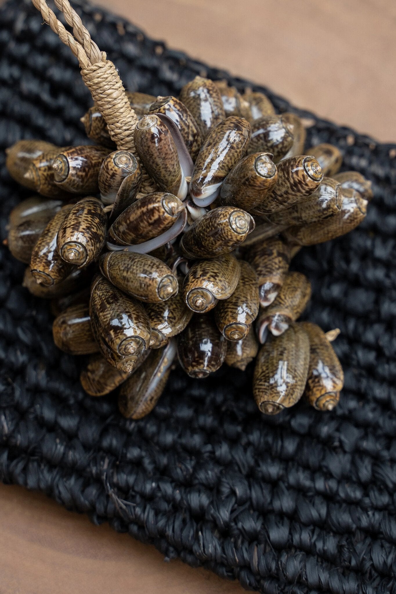BB - Decoratie bruine kauri schelp kwast