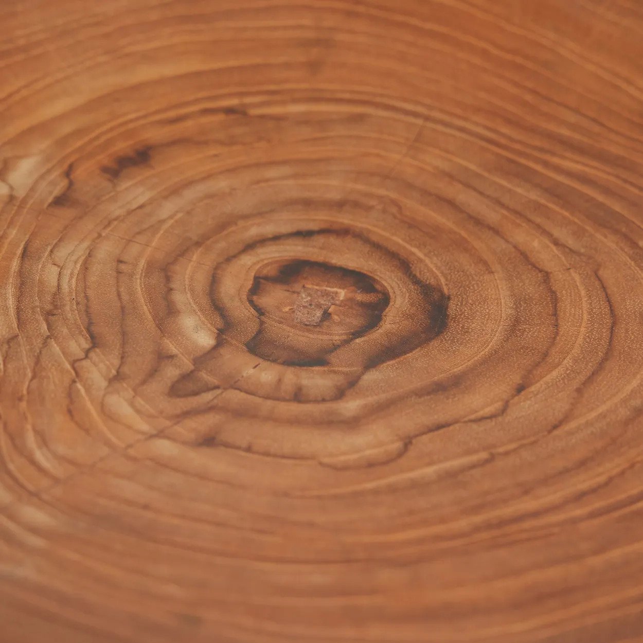 BB - Bord Teak Root Organic