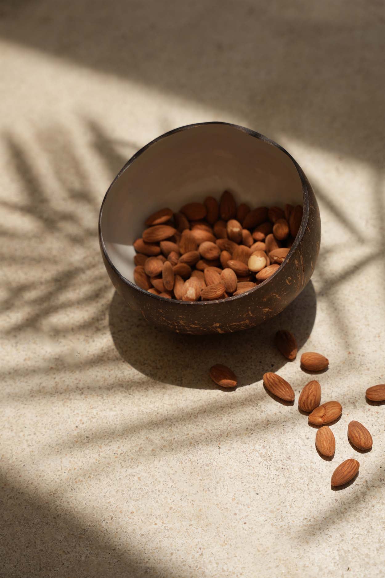 BB - Kom Coco Food - Natuurlook Wit