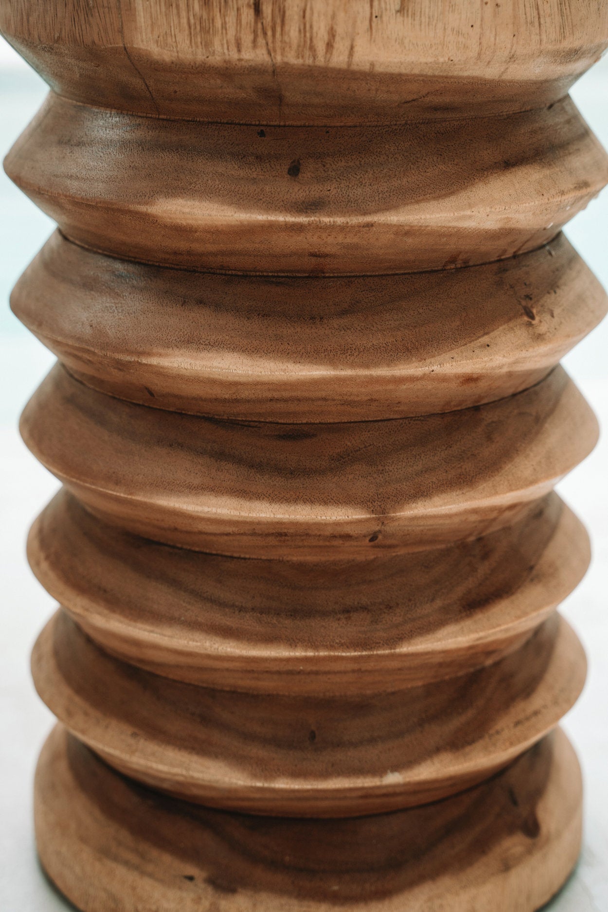 BB - Kruk Galapagos - Natuurlook