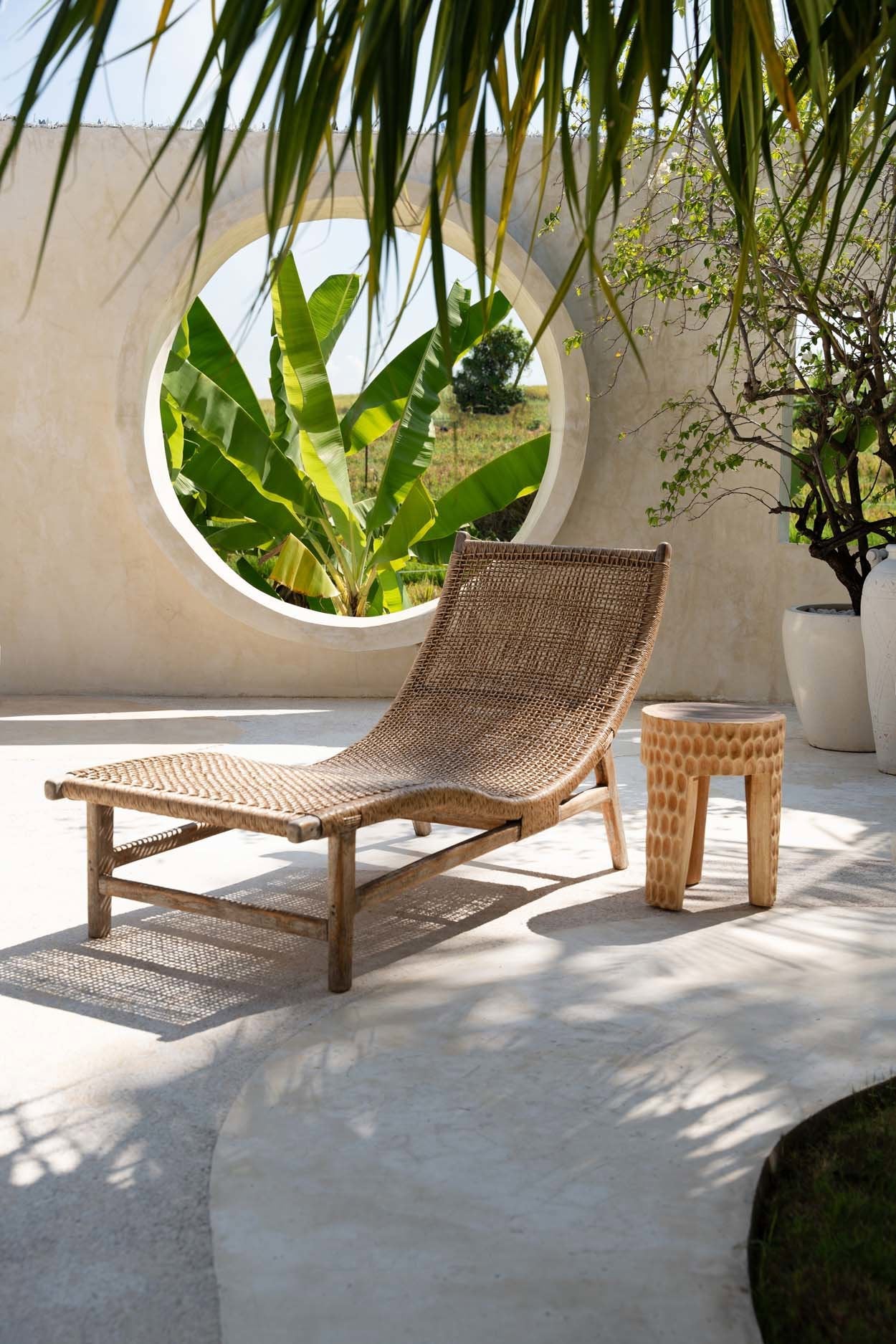 BB - Kruk Paramo - Natuurlook