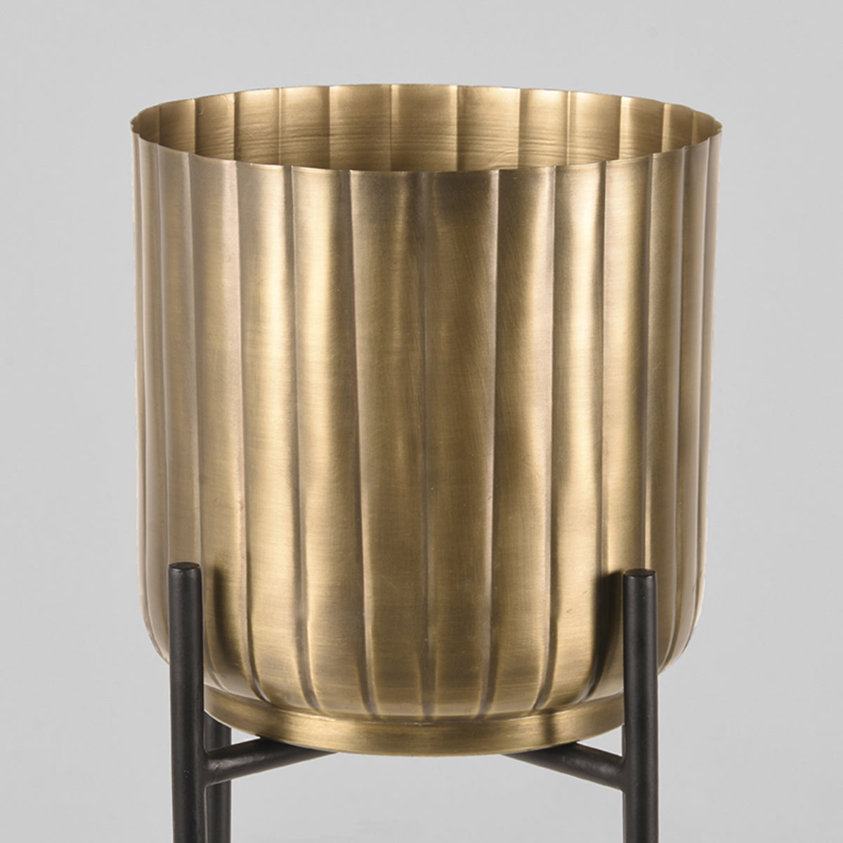 LABEL51 Plantenstandaards - Antiek goud - Metaal