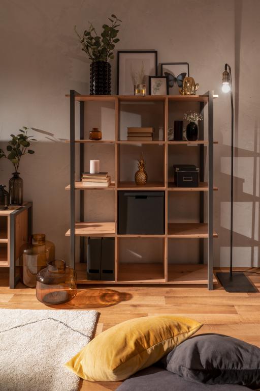 FIN - Bibliotheek Denver 31 - artisanal eik / anthracite - 107xh145x39cm
